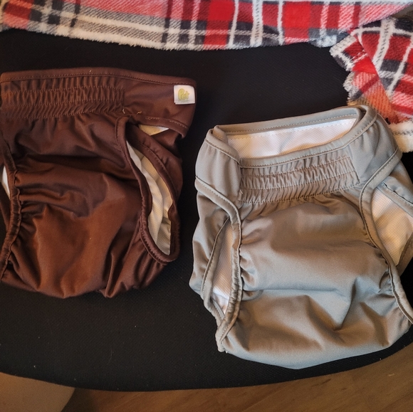 Large Dog Diapers